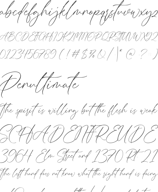 Bellowers font preview