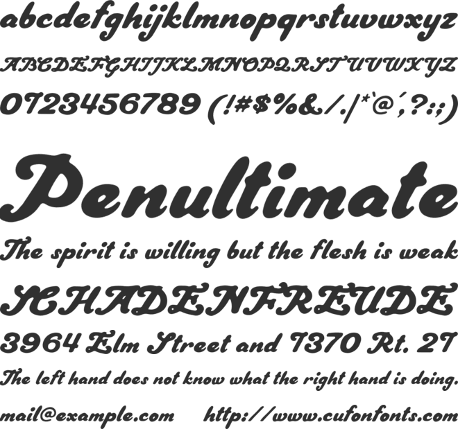 Vintage Crafted Script font preview
