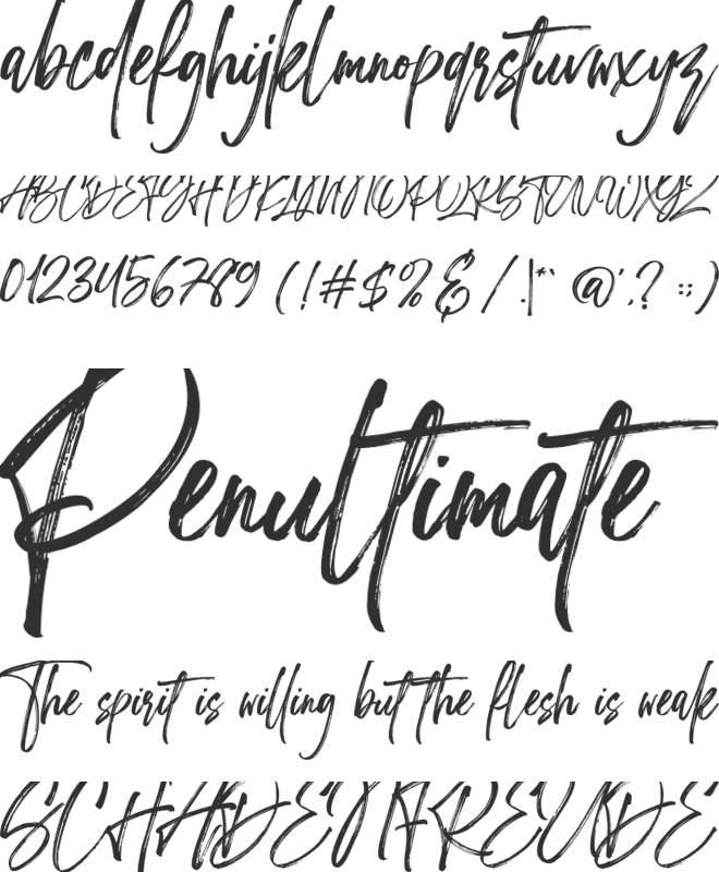 Zaystack font preview