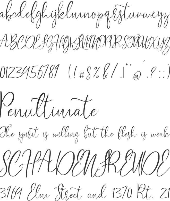 soul and mate font preview
