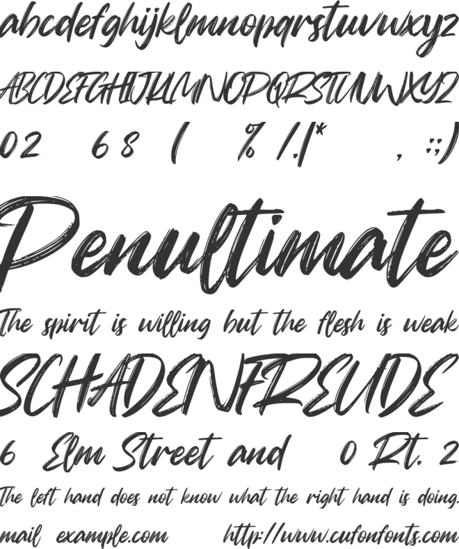 Billy Boss font preview