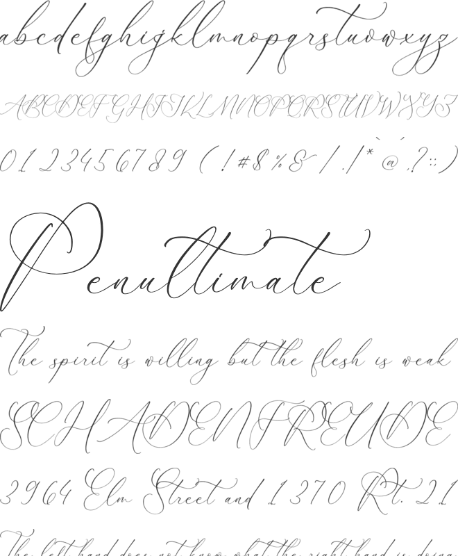 Balleryna Charlote font preview