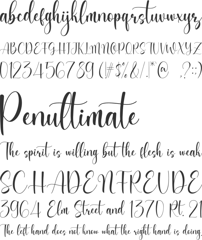 Welington font preview