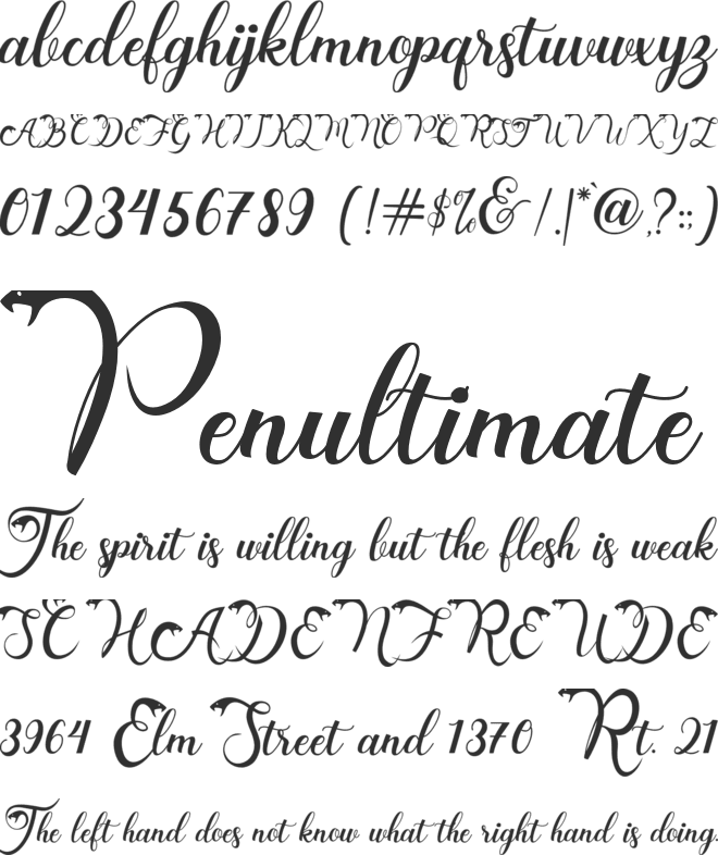 Snake Holiday font preview