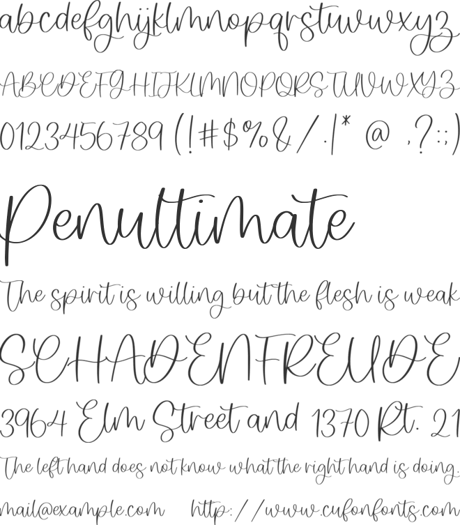 Wishfancy font preview