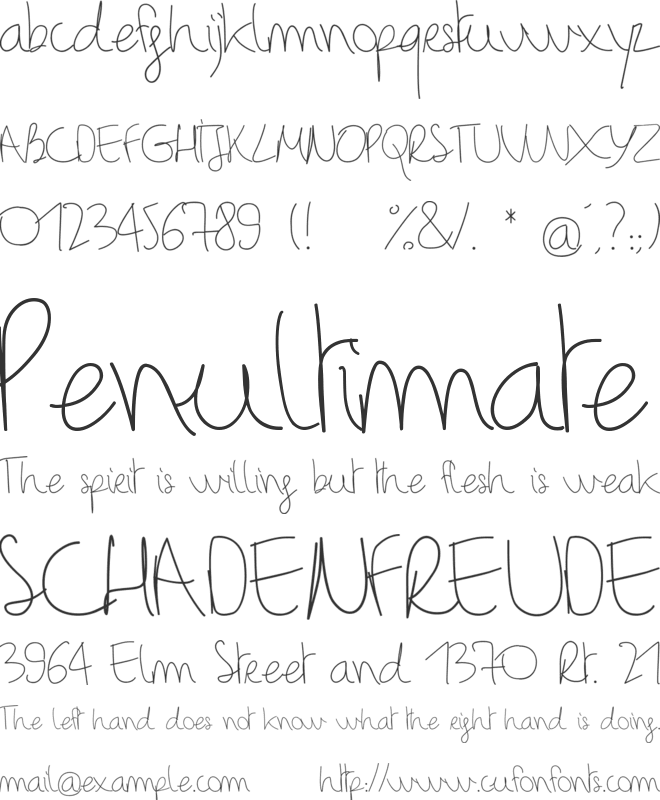 BinetruyScript font preview