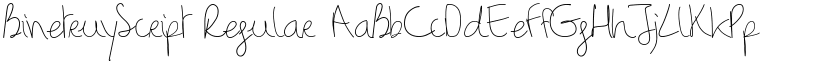 BinetruyScript Regular font