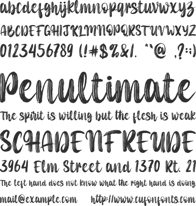 Dancing Brush-Personal use font preview