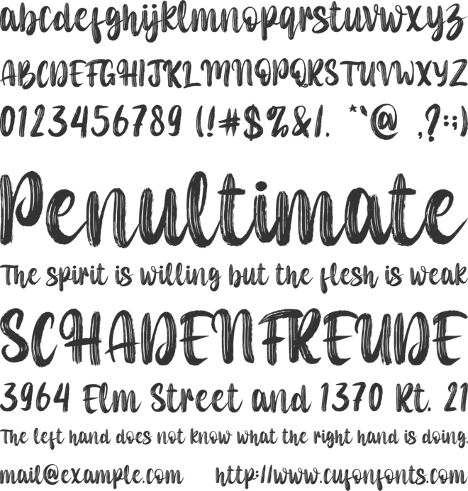 Dancing Brush-Personal use font preview