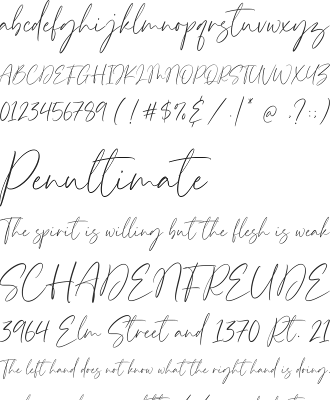 Timberlyn font preview