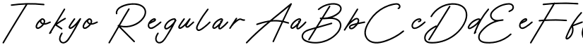 Tokyo Regular font