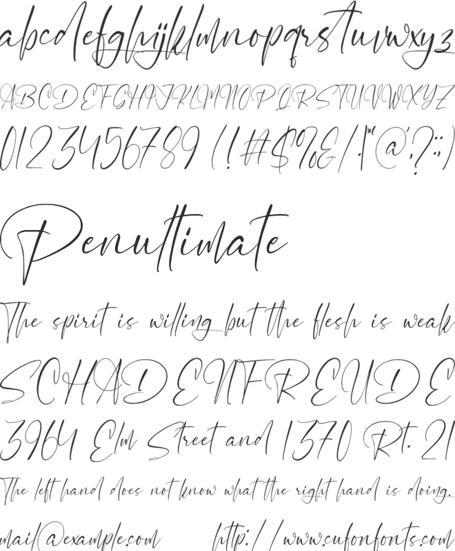 Molightwood font preview