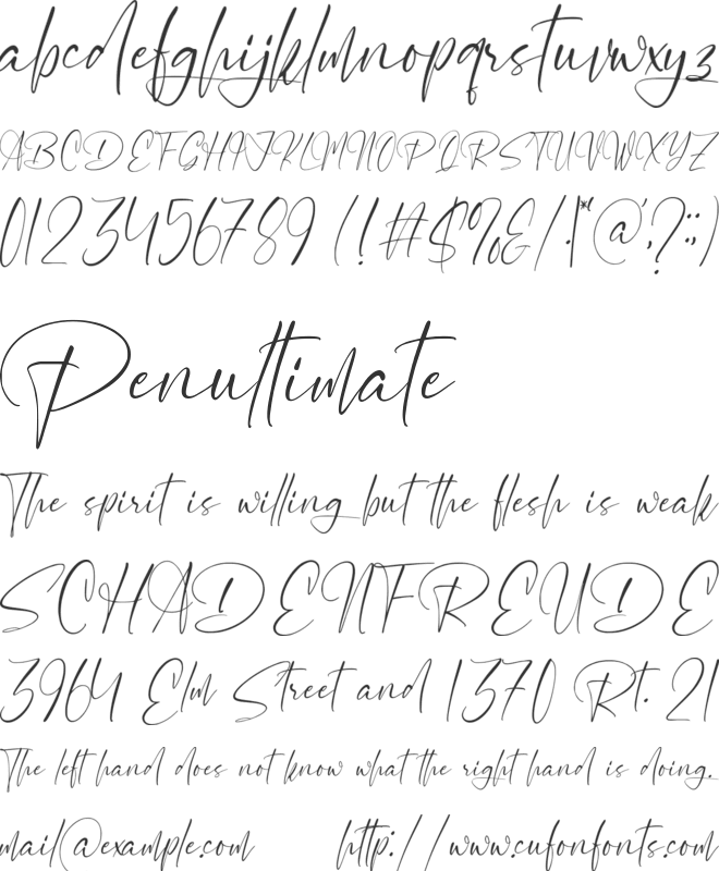 Molightwood font preview