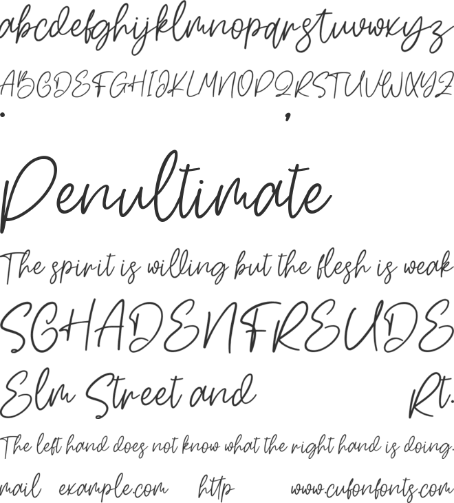Shesty font preview