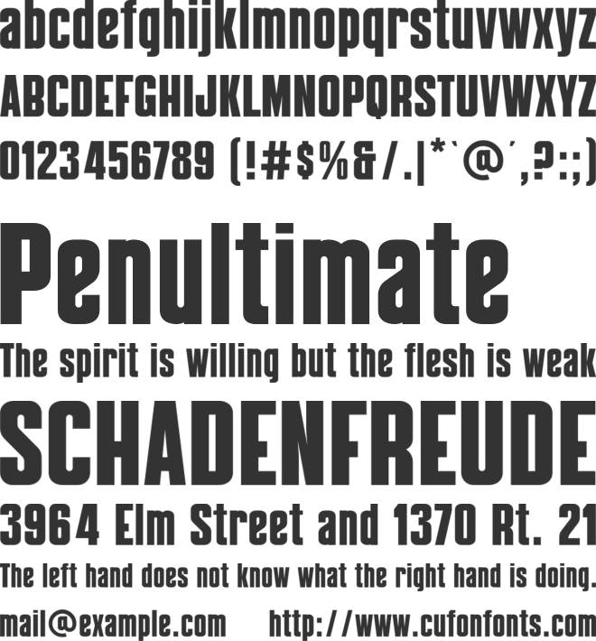 Noticia font preview