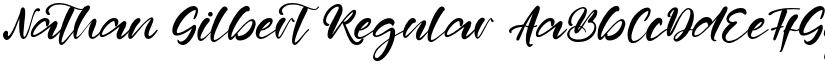Nathan Gilbert font download