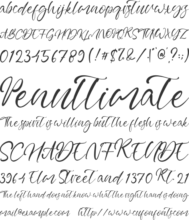 Capture Moment font preview