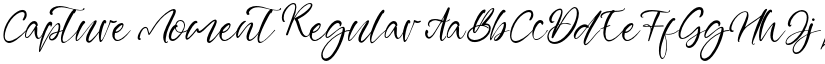 Capture Moment Regular font