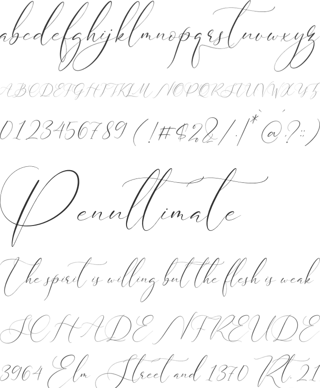 Cristtina Delmonte font preview