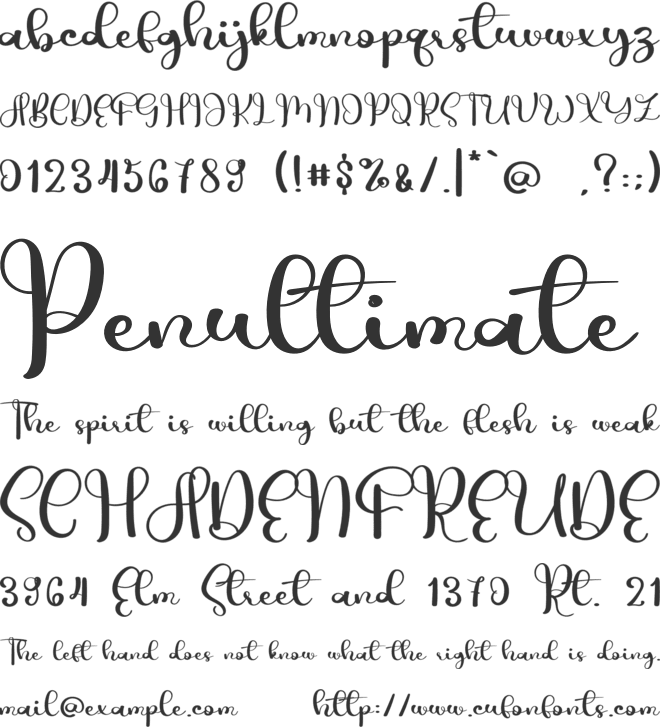 Wedding Vintage font preview