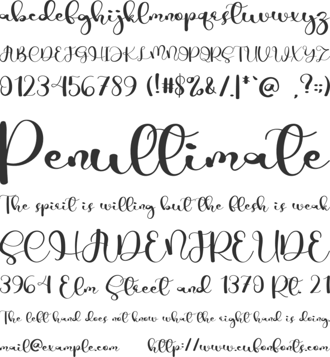 Camello font preview