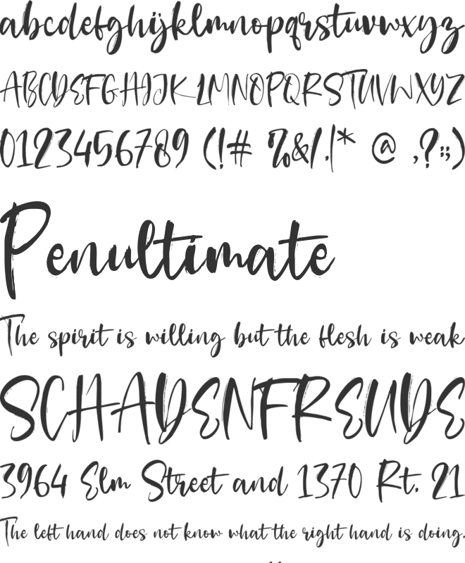 Best Ever font preview