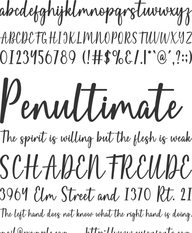 Pink Flowers font preview