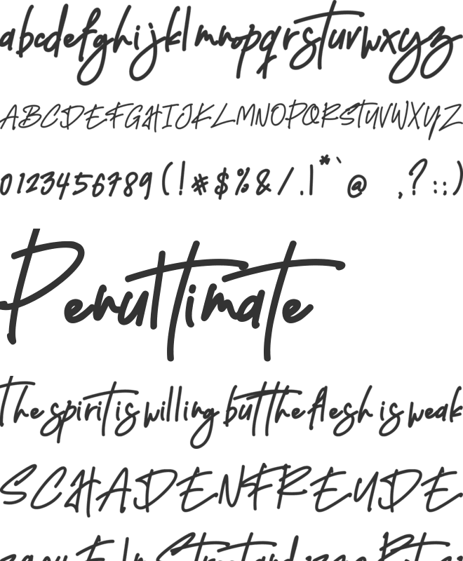 Open Script font preview