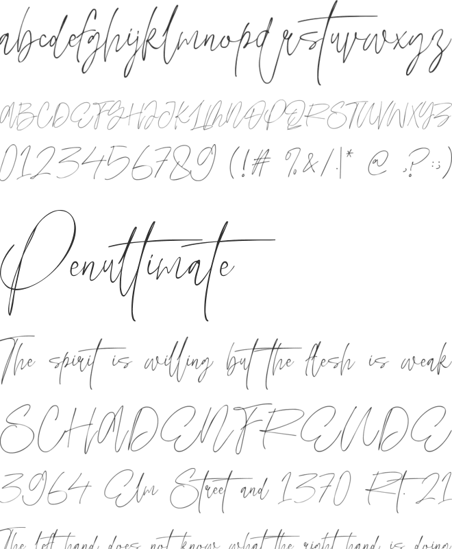 Wolf Paul font preview