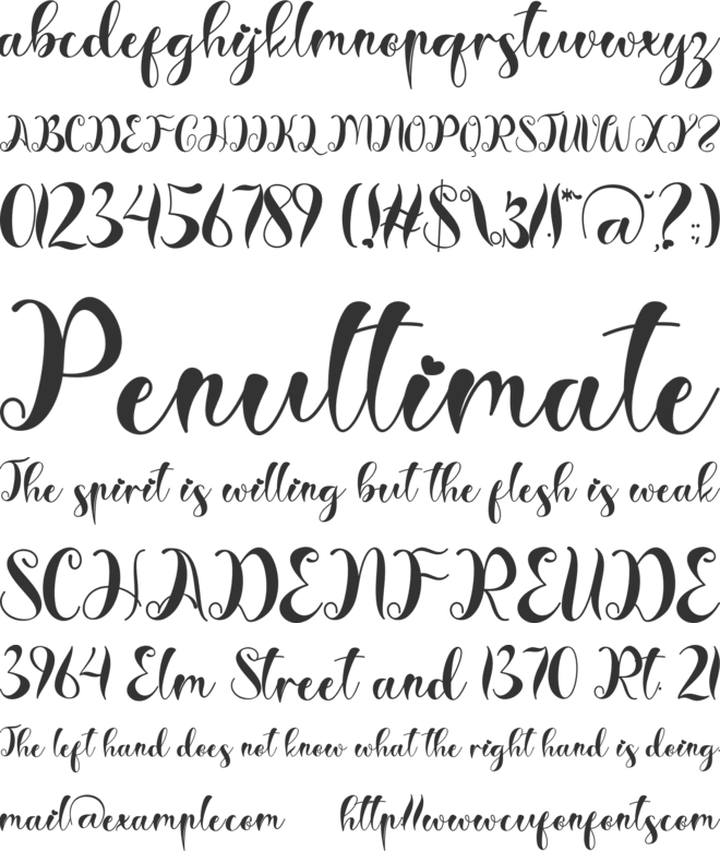 Christmas Style font preview