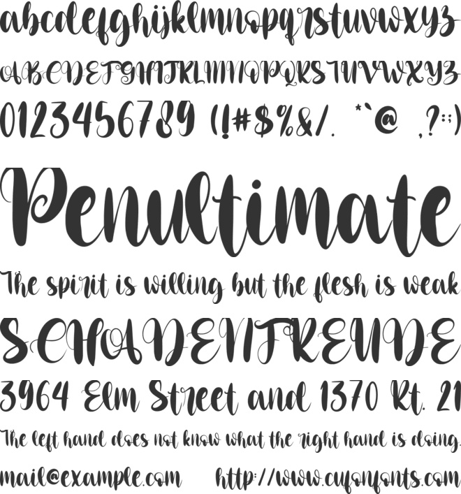 Christmas Billy-Personal use font preview
