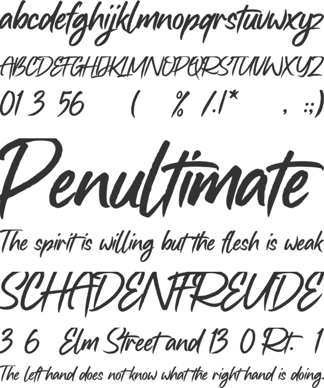 Fanditta font preview