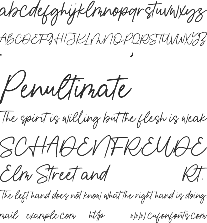 Bellany Signature font preview