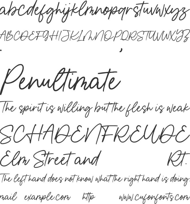 Bellany Signature font preview