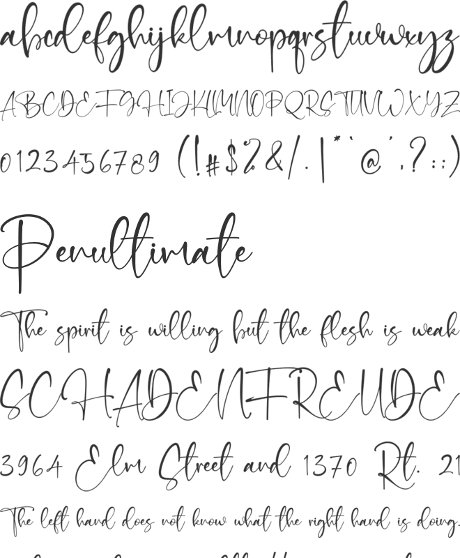 Ramly Zatins font preview
