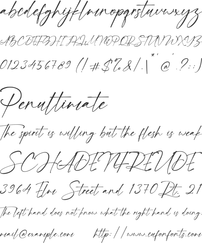 Franky Rain font preview