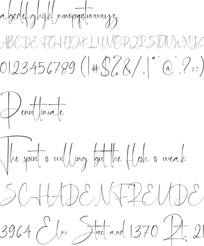 Martin Zidan font preview