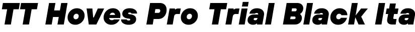 TT Hoves Pro Trial Black Italic font