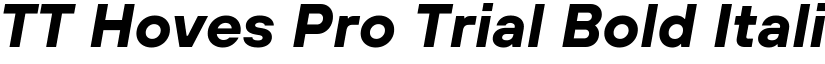 TT Hoves Pro Trial Bold Italic font