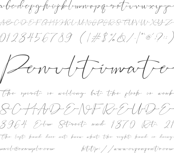 Bofly font preview