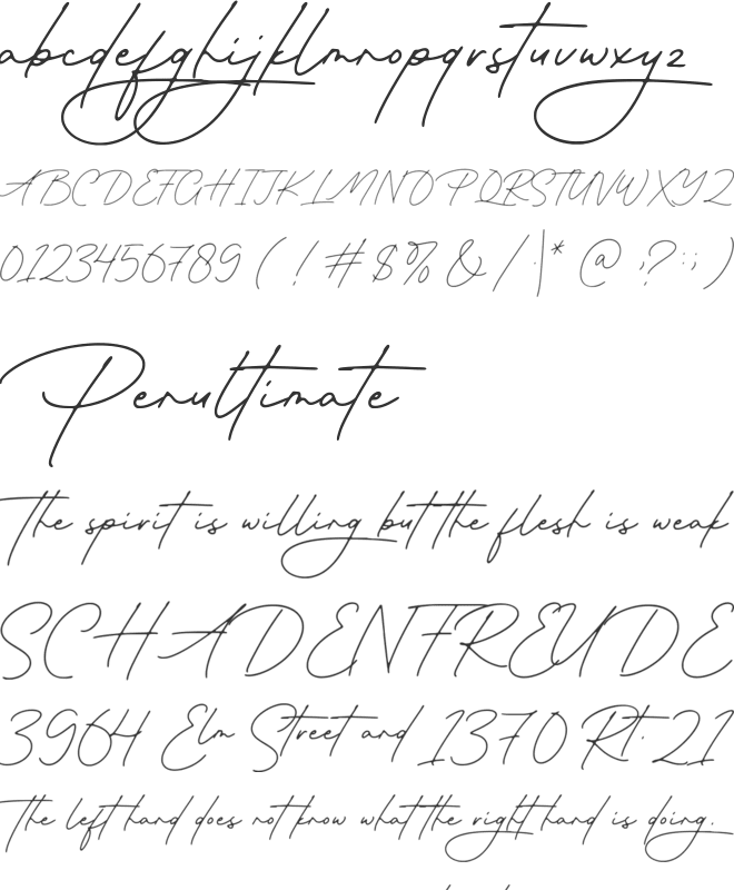 Paragraph font preview