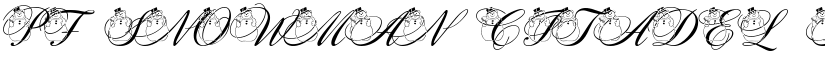 pf_snowman citadel font