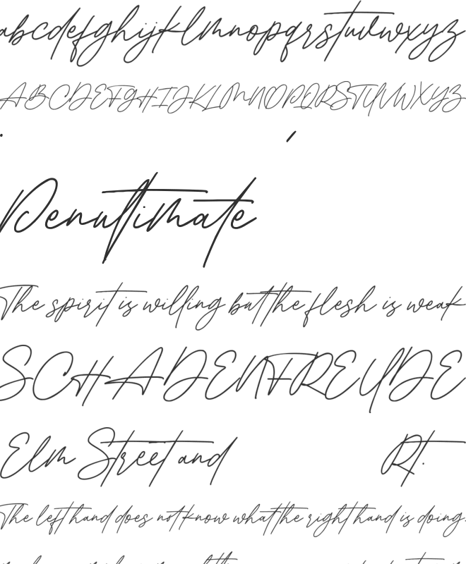 Cinthia Signature font preview