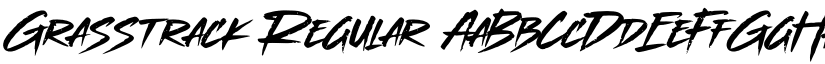 Grasstrack font download