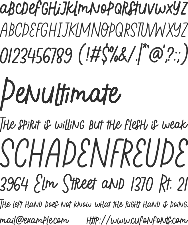 Andra Cookie font preview