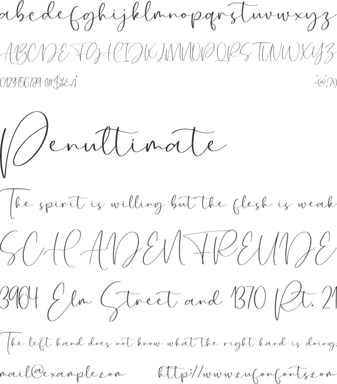 Bridescript font preview
