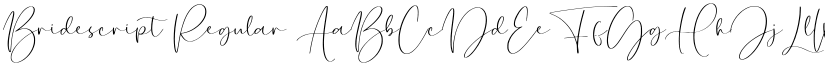 Bridescript font download