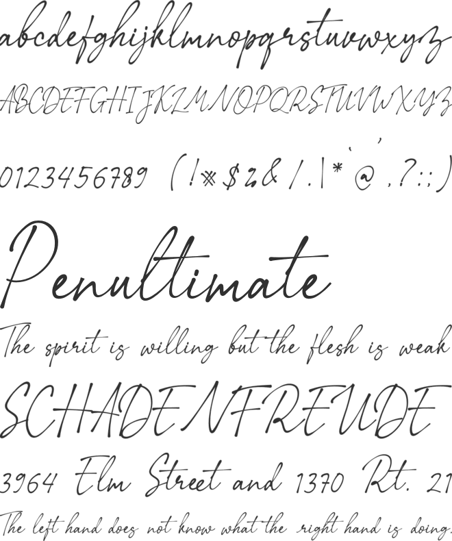 Rextions font preview