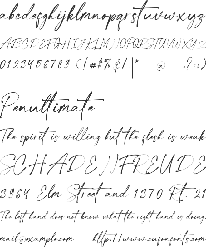 Collection New Style font preview