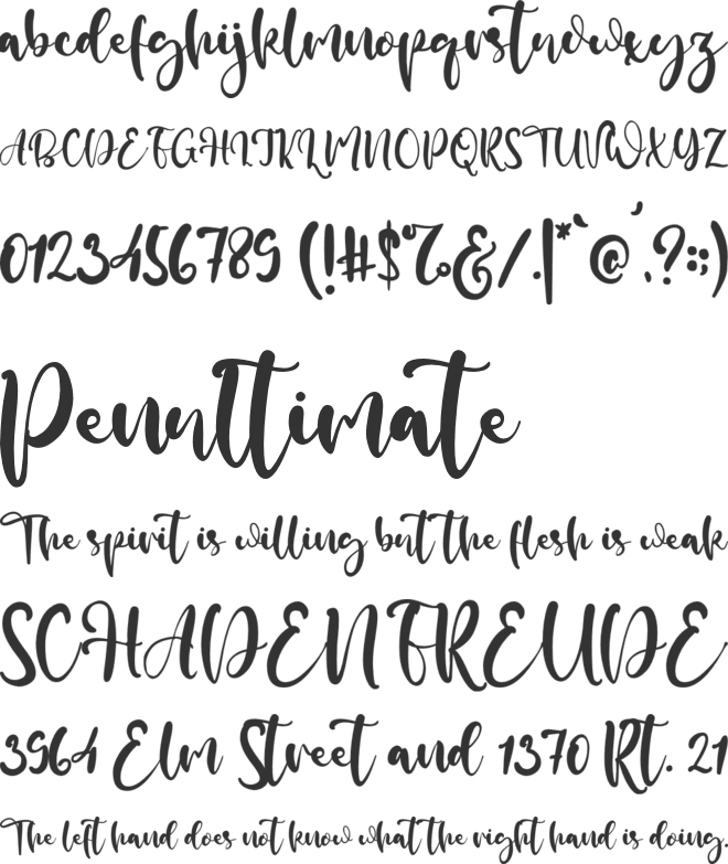 Plainstall font preview